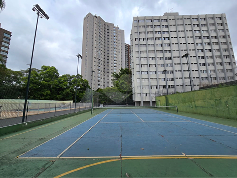 Quadra de tênis oficial 