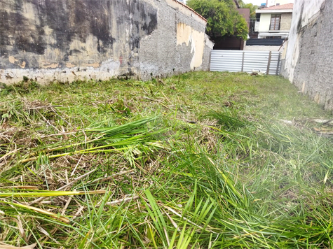 Venda Terreno São Paulo Vila Ipojuca 1