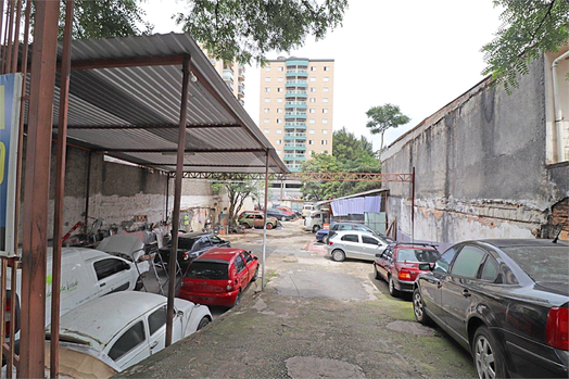 Aluguel Terreno São Paulo Vila Anglo Brasileira 1