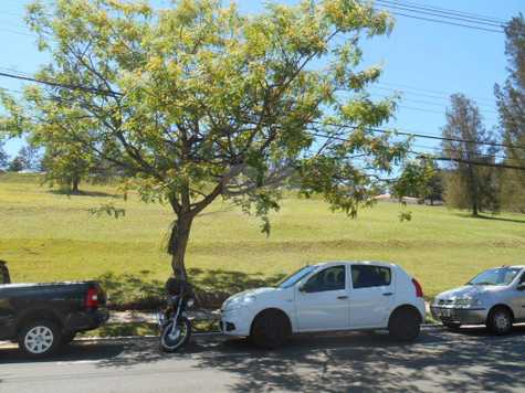 Venda Terreno Campinas Loteamento Alphaville Campinas 1