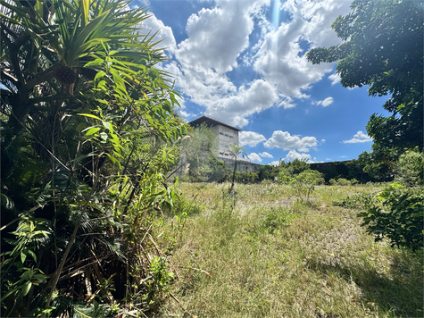Venda Galpão São Paulo Vila Leopoldina 1