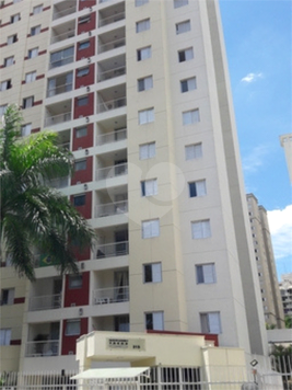 Aluguel Apartamento São Paulo Super Quadra Morumbi 1