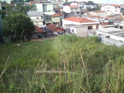 Venda Terreno São Paulo Vila Dom Pedro Ii 1