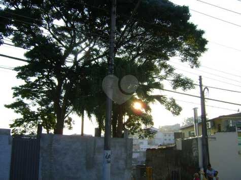 Venda Terreno São Paulo Jardim Celeste 1