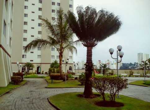 Venda Apartamento São Paulo Parque Mandaqui 1