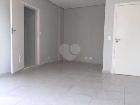 Daniel Martins Ferreira