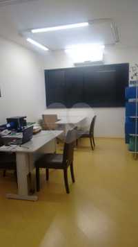 Conilon