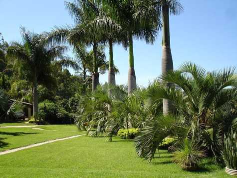 Venda Fazenda Atibaia Chácaras Maringá 1