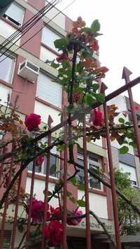 RUA JOSÉ DO PATROCÍNIO,693