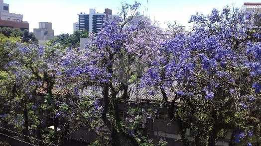 AVENIDA PROTÁSIO ALVES,2206