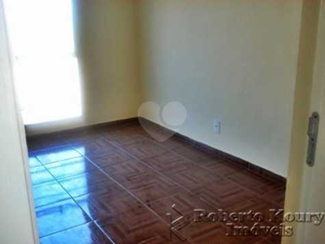 ED. JD DAS CAMÉLIAS