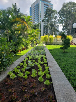 Venda Apartamento São Paulo Vila Andrade 1