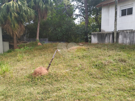 Venda Terreno São Paulo Vila Albertina 1