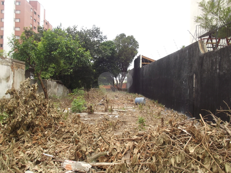 Venda Terreno São Paulo Vila Monte Alegre 1