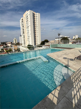 Aluguel Apartamento São Paulo Vila Mazzei 1