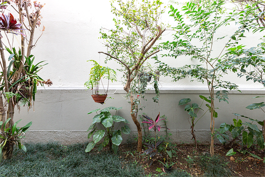 Venda Apartamento São Paulo Sumarezinho 1