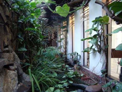 Venda Casa São Paulo Vila Clementino 1