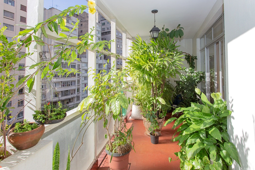 Venda Apartamento São Paulo Bela Vista 1