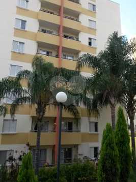 Venda Apartamento Campinas Jardim Dom Vieira 1