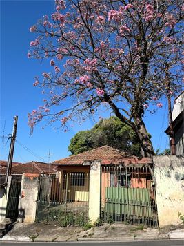 Venda Terreno São Paulo Vila João Batista 1