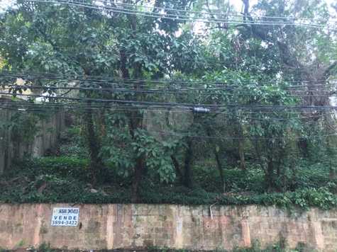 Venda Terreno São Paulo Cidade Jardim 1