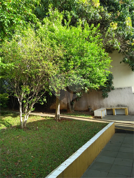 Ed Jacuí