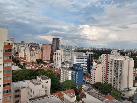 TWO PINHEIROS