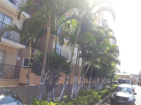 Aluguel Apartamento São Paulo Vila Mazzei 1