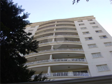 CAMBUI ARBORETO