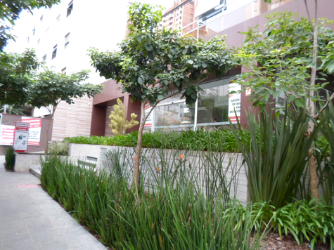 Cayowaá Comercial