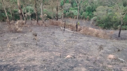 Venda Terreno Santana De Parnaíba Chácaras Boa Vista 1