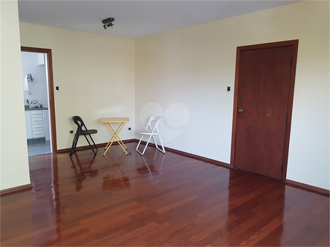 MARIO PINHEIRO RIBEIRO