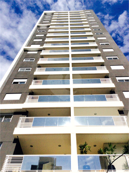 Spotlight Campo Belo