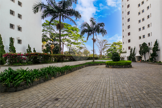 Parque Dos Cisnes