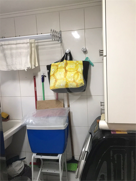 THE FIRST FREE & FLEX