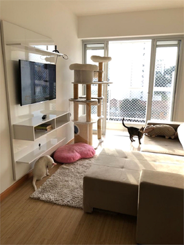 Aluguel Apartamento São Paulo Pinheiros 1