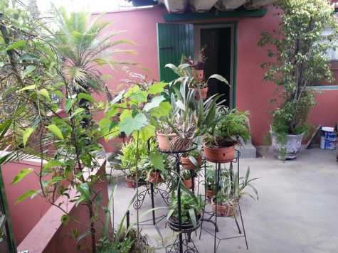 Venda Sobrado São Paulo Chácara Santo Antônio (zona Sul) 1