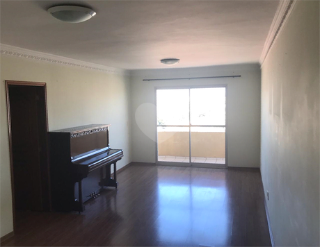 Antonieta Picollo Vachiano