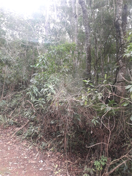 Venda Terreno Mairiporã Suasalito 1