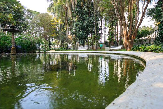 Parque Dos Cisnes