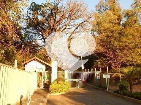 BOSQUE DO SOL NASCENTE