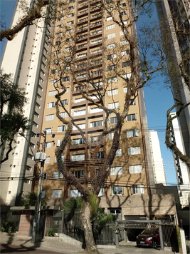 Colina D'Alençon