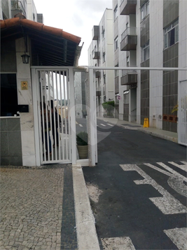 BOSQUE DAS PAINEIRAS