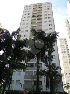 Bela Vista