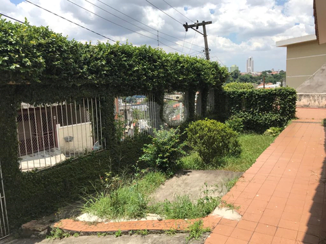 Venda Terreno São Paulo Vila Mazzei 1