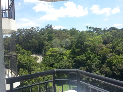 Terraços Do Horto
