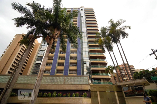 Aluguel Apartamento Campinas Cambuí 1