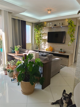 Venda Apartamento São Paulo Vila Paiva 1