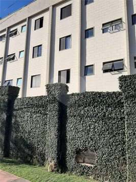 Aluguel Apartamento Indaiatuba Jardim Umuarama 1