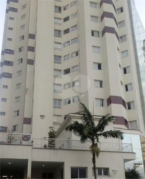 Orion 2000